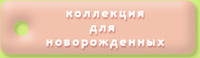 Оптовая компания, ИП Сибирцева О.В.