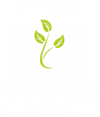 Сибирская Академия инновационных и компьютерных технологий, НУДО