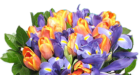 CVETYINSK, Интернет-магазин по продаже цветов